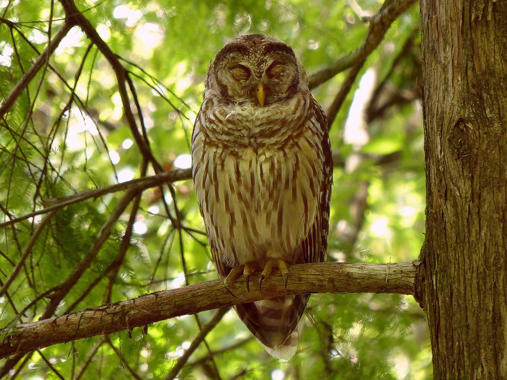 Click to See Next Image